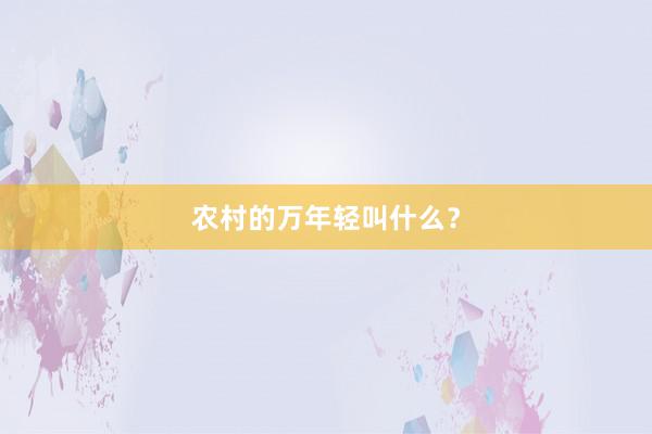 农村的万年轻叫什么？