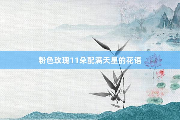 粉色玫瑰11朵配满天星的花语